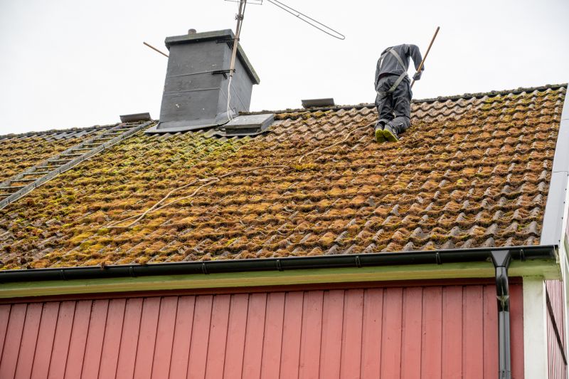 Who Does Roofing Service